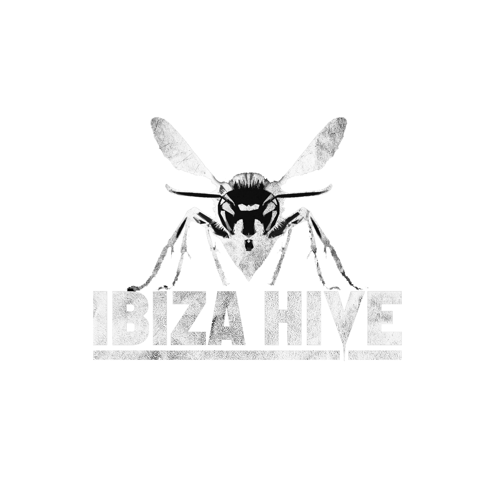 Ibiza Hive
